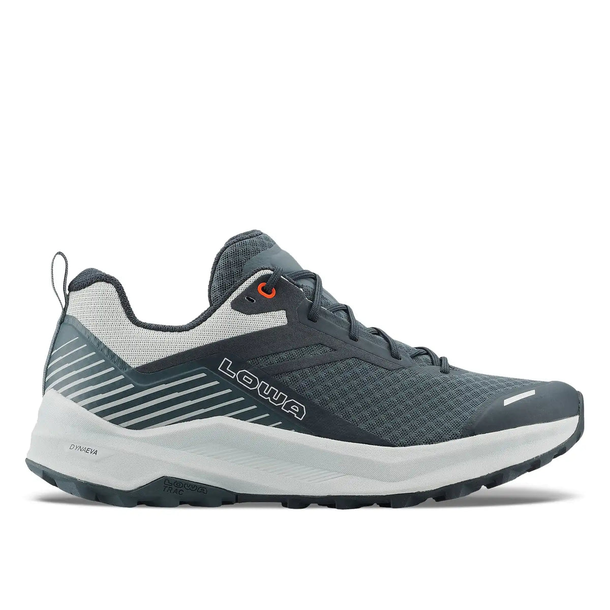 FLOWTERRA GTX - NAVY/GREY