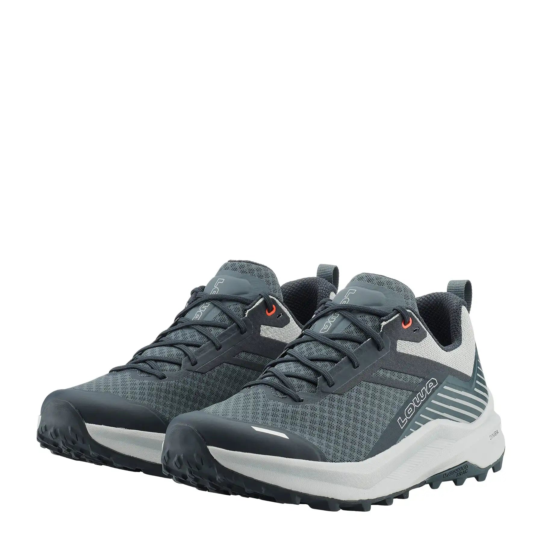 FLOWTERRA GTX - NAVY/GREY Secondary image
