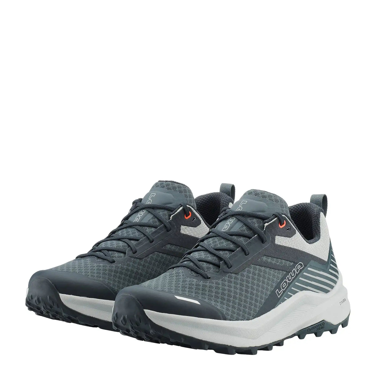FLOWTERRA GTX - NAVY/GREY
